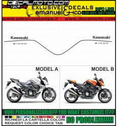 Z 1000 2009